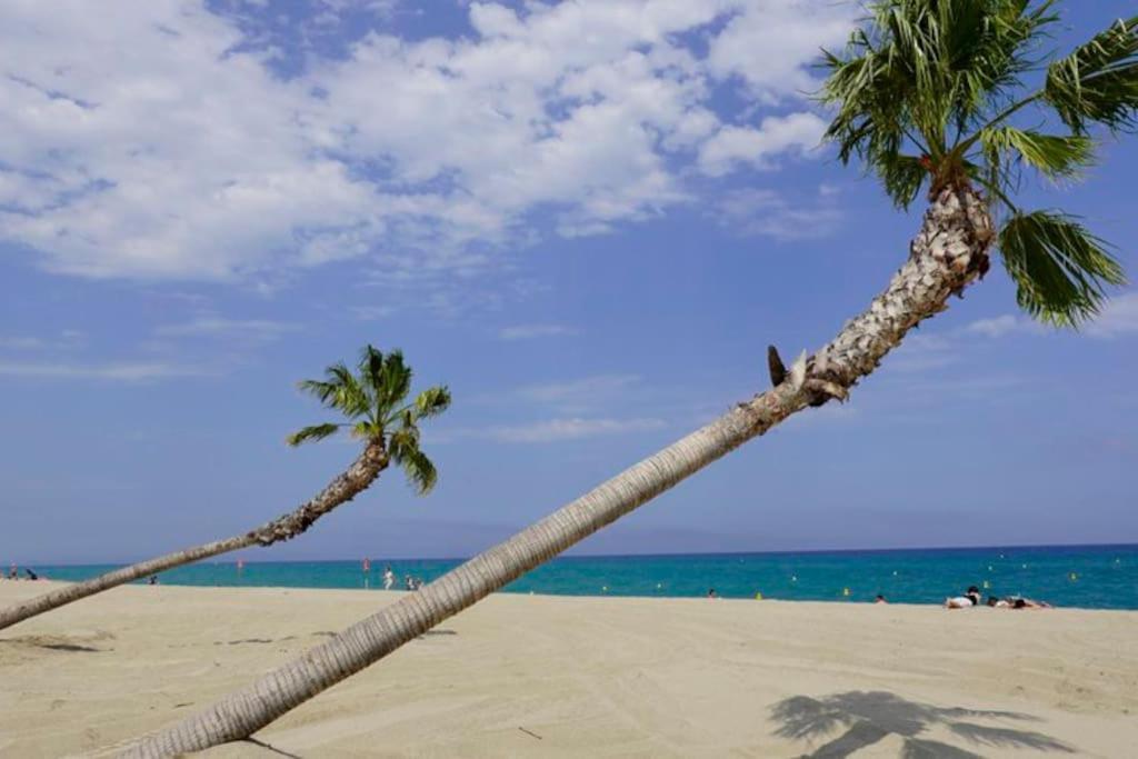 A 500 M De La Plage, Tout Confort Avec Wifi Le Barcarès المظهر الخارجي الصورة
